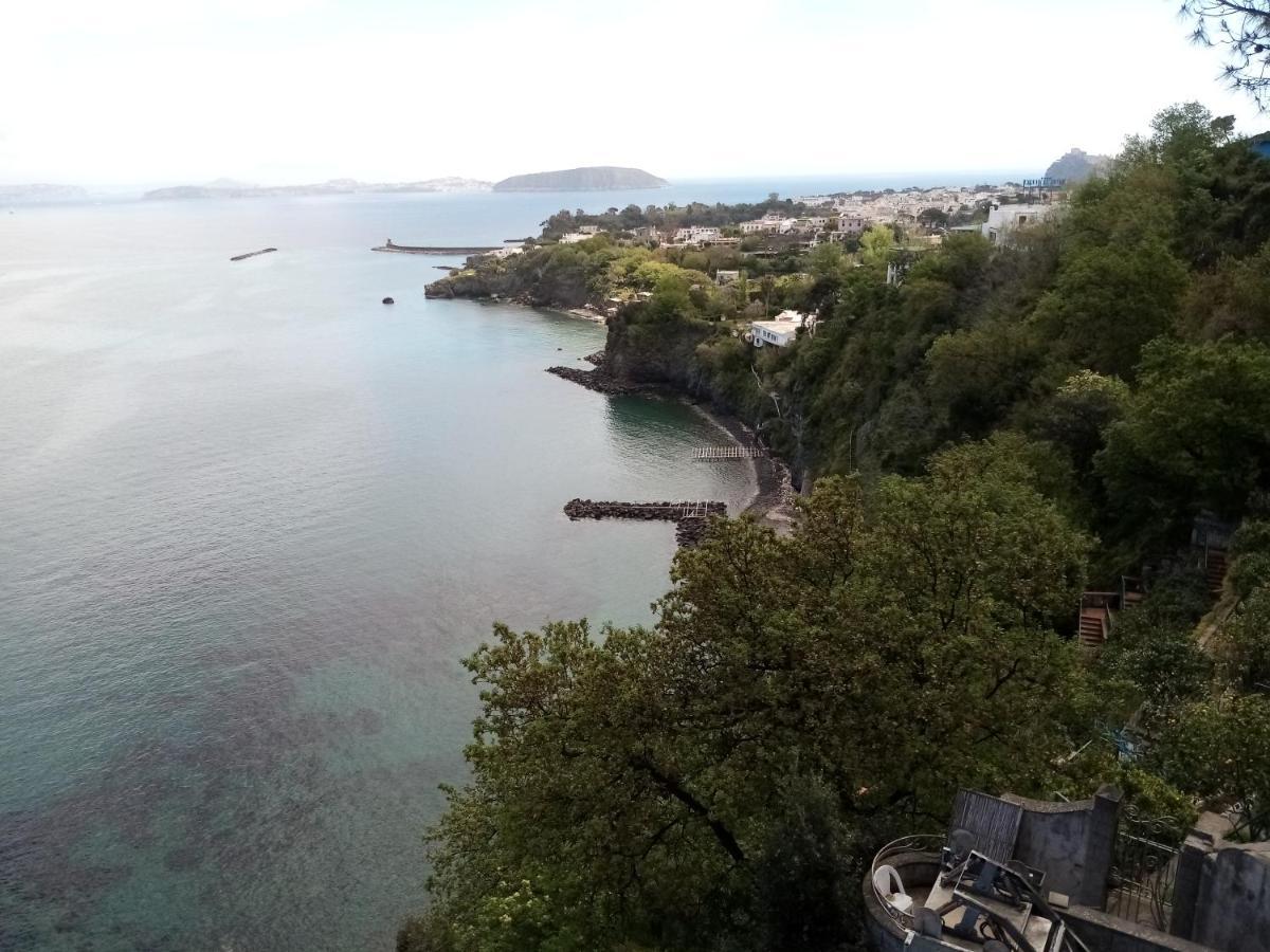 L'Incanto Suites Ischia 卡萨米乔拉泰尔梅 外观 照片